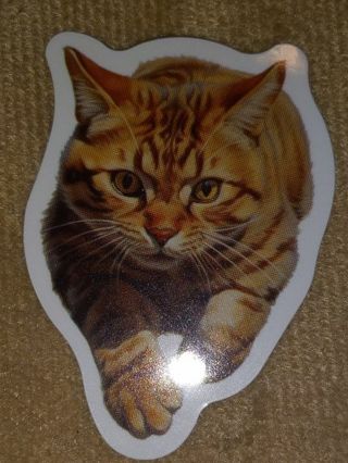 Cat 1⃣ Cute vinyl sticker no refunds regular mail only Very nice win 2 or more get bonus