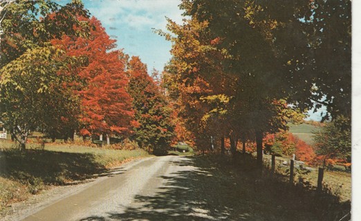 Vintage Used Postcard: d: 1970 Vermont's Fall Foliage