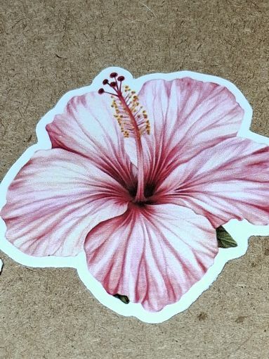 Free: Pretty Cool one nice thin vinyl sticker no refunds regular mail only Very nice quality!