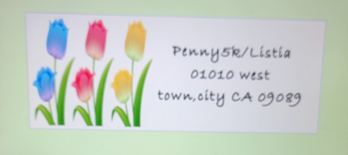 2 sheet address stickers