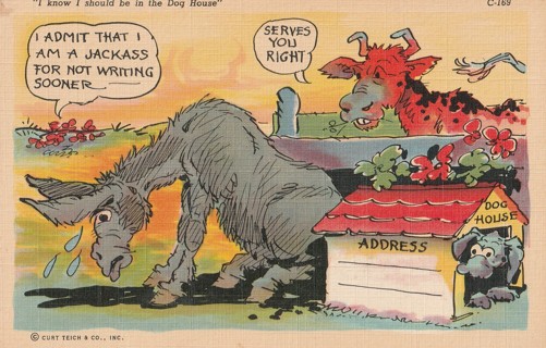 Vintage Unused Postcard: d: Comic:  I'm a Jackass