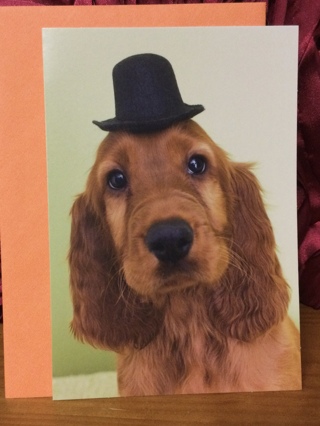 Golden Retriever Wearing a Black Hat Blank Card