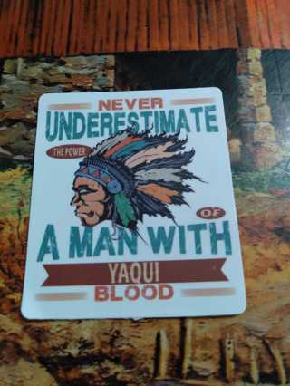 Native American Sticker