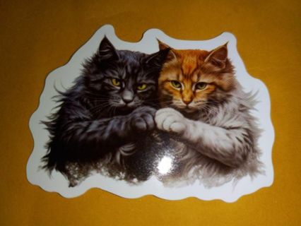 Cat Cute new vinyl lap top stickers no refunds regular mail very nice