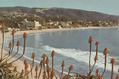 Vintage Unused Postcard: L: Laguna Beach, CA