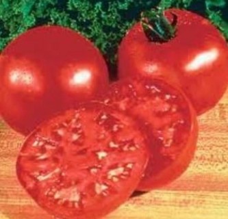 Big Boy Tomatoes