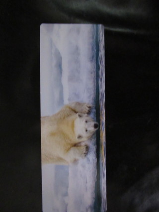 Darling BOOKMARK card from Worldwildlife.org