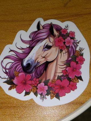 Beautiful Cool one nice vinyl sticker no refunds regular mail only Very nice quality!