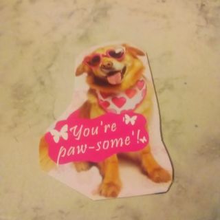 You're Paw-some Design Magnet