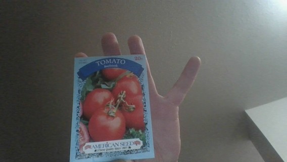 tomato beefstake