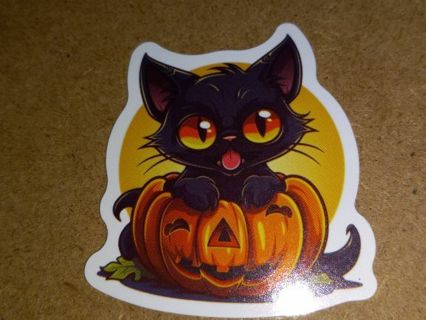 Halloween one Cute new vinyl sticker no refunds regular mail only Very nice these are all nice