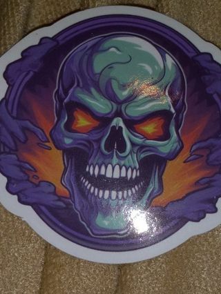 Cool one new big vinyl sticker no refunds regular mail only Very nice