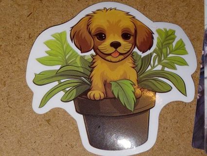 Cute one new vinyl laptop sticker no refunds regular mail only