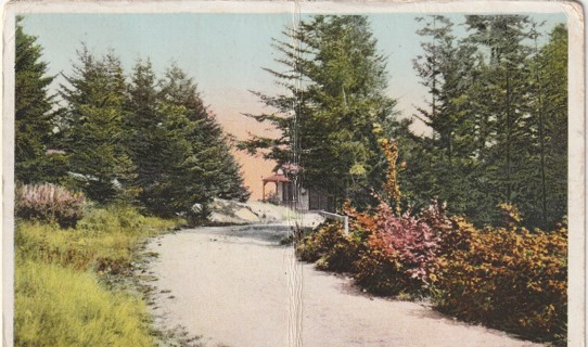 Vintage Used Postcard: (v): 1916 Where we Get Our Mail, Bustin Island, Maine