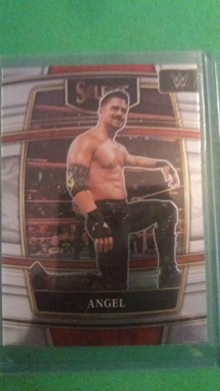 angel wrestling card free shipping