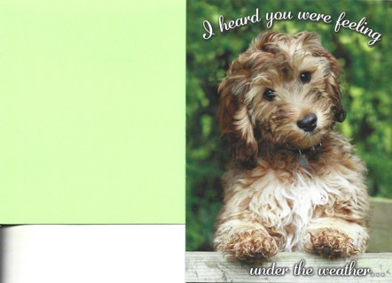 Brand New Never Been Used .Get Well Greeting Card With Envelope