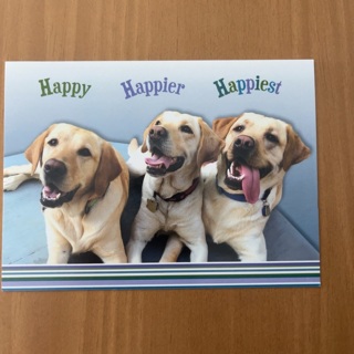 Dogs Birthday Card