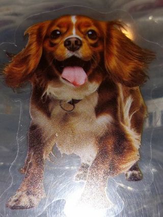 Dog new one clear vinyl sticker no refunds regular mail only Very nice win 2 or more get bonus