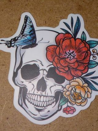 Pretty new one nice vinyl lap top sticker no refunds regular mail very nice quality