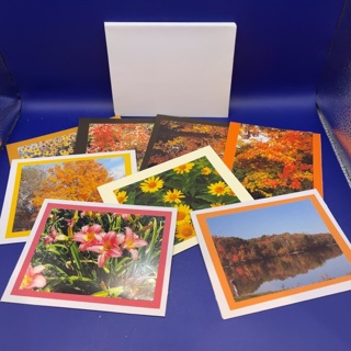 Set of 8 Hand Crafted Floral Fall Seasonal Note Cards w/ Envelopes 