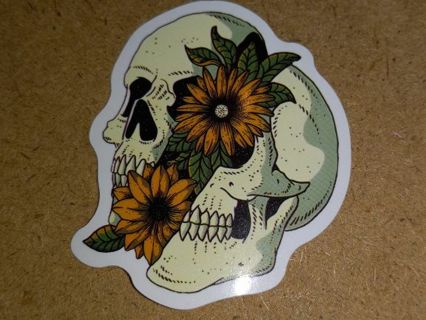 Cool new 1⃣ vinyl lap top sticker no refunds regular mail very nice quality