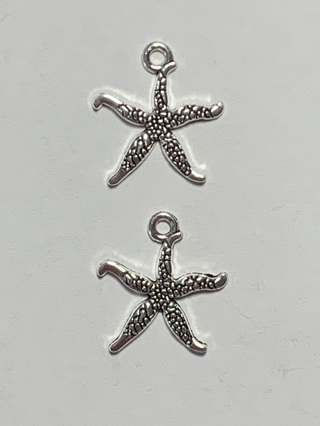 OCEAN/BEACH CHARMS~#70~SILVER~2 CHARMS~FREE SHIPPING!