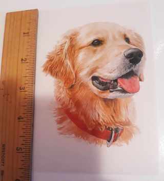 Dog Art Postcard (new, unused)