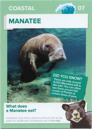  2016 Go Wild in the USA Coastal #7 Manatee