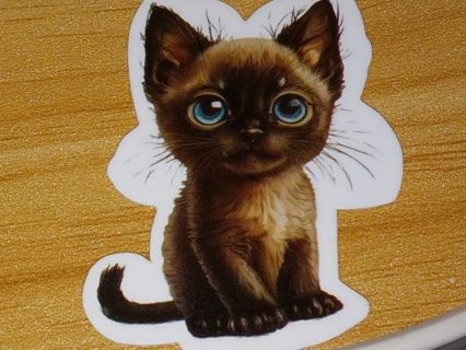 Cat Adorable nice one sticker no refunds regular mail only Very nice quality!