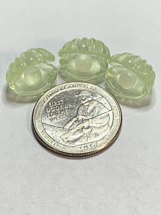 CLAMSHELLS~#7~GREEN~SET OF 3~GLOW IN THE DARK~FREE SHIPPING!