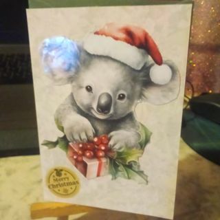 Merry Christmas Kola Bear - Design Blank Note Card