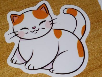 Cute one new vinyl laptop sticker no refunds regular mail only