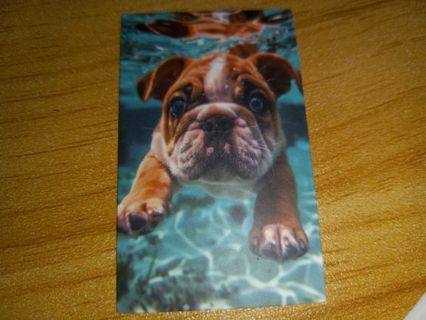 Dog Cute one new vinyl sticker no refunds regular mail win 2 or more get bonus