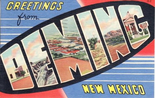 Vintage Postcard Greetings from New Mexico