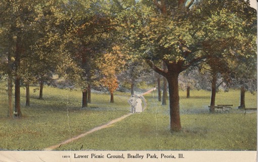 Vintage Used Postcard: (d): 1910 Lower Picnic Ground, Bradley Park, Peoria, IL