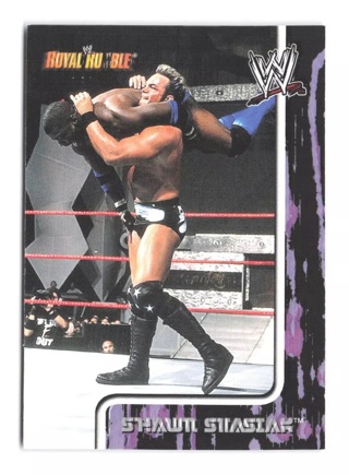 2002 Fleer WWE Royal Rumble Shawn Stasiak 24 WWF