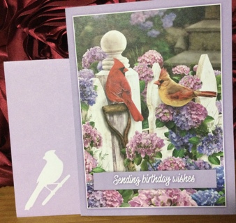 Two Cardinals Birthday Card