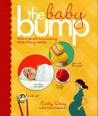 The Baby Bump - 100s of Secrets to Surviving Those 9 Long Months - by Carley Roney