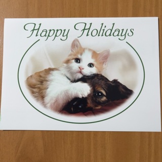 Happy Holidays Christmas Card 