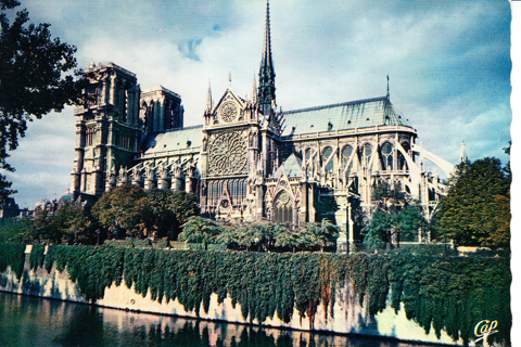 Vintage Postcard Notre-Dame, Paris, France 