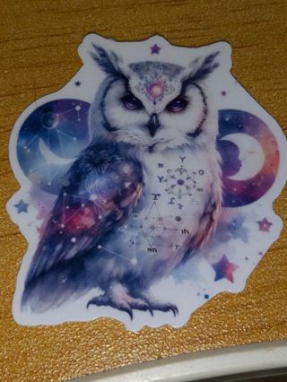 Pretty new 1⃣ small vinyl lap top sticker no refunds regular mail very nice quality