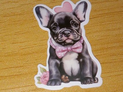 Dog 1⃣ nice vinyl sticker no refunds regular mail only Very nice quality!