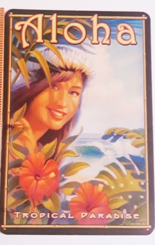 Hawaii USED Postcard