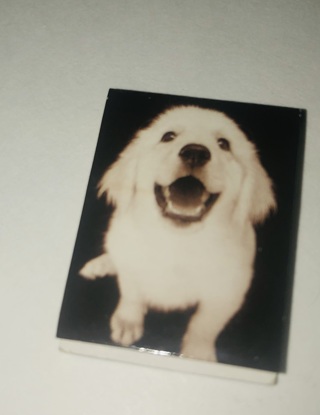 Magnetic Page Marker Cute Doggie 