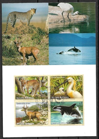 2000 UN, Vienna Sc272a Endangered Species maxi card