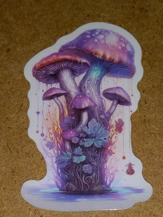 Beautiful one small vinyl sticker no refunds regular mail only Very nice quality!