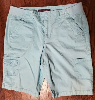 NEW - Gloria Vanderbilt - blue shorts - size 14