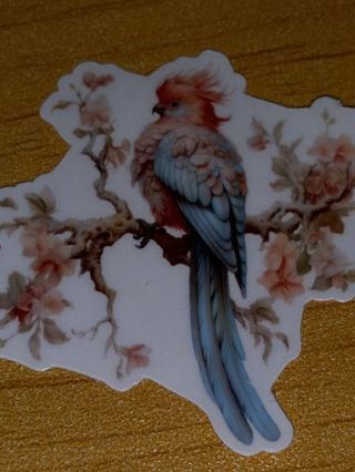 Beautiful new one vinyl lap top sticker no refunds regular mail very nice quality