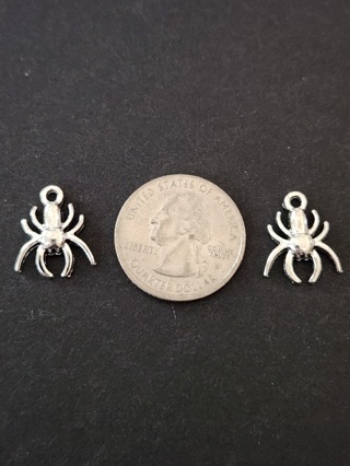 (2) Cool Spider Charms