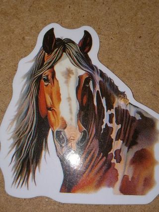 Horse big Cute one vinyl sticker no refunds regular mail win 2 or more get bonus